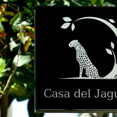 Casa Del Jaguar Beach Hotel Isla Mujeres Extérieur photo