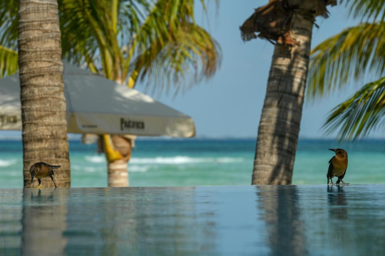 Casa Del Jaguar Beach Hotel Isla Mujeres Extérieur photo